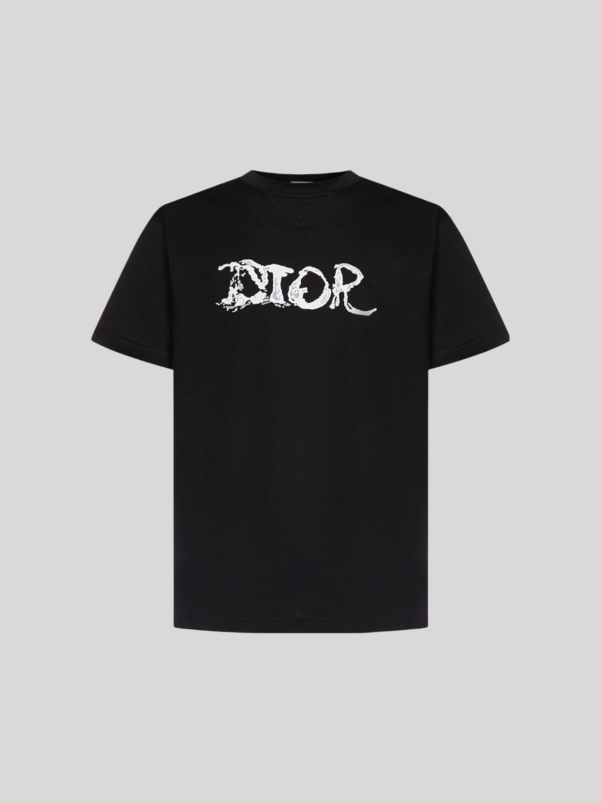 CHRISTIAN DIOR OVERSIZED DIOR AND PETER DOIG T-SHIRT